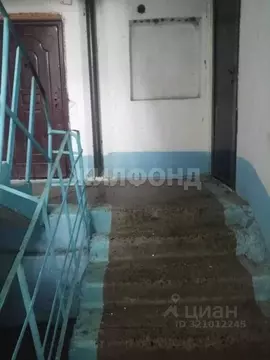 1-к кв. Забайкальский край, Борзя Борзя-2 кв-л, 38 (33.5 м)