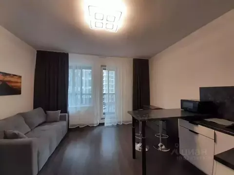 Студия Санкт-Петербург аллея Арцеуловская, 17 (24.7 м)