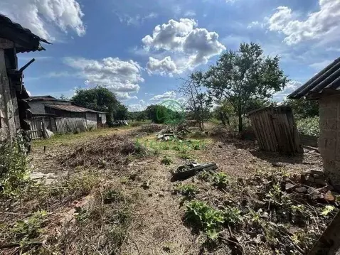 Участок в Белгородская область, Корочанский муниципальный округ, с. ...