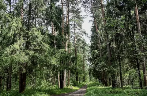 Участок в Московская область, Солнечногорск городской округ, д. ...