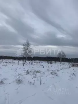 Участок в Тюменская область, Тюменский муниципальный округ, д. ...