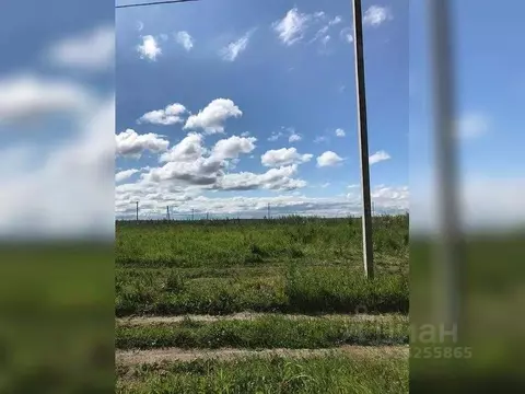 Участок в Томская область, Томский район, Заречное с/пос, д. Черная ...