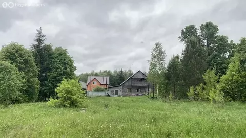 Участок в село Тюнево, Кедровая улица (25 м)