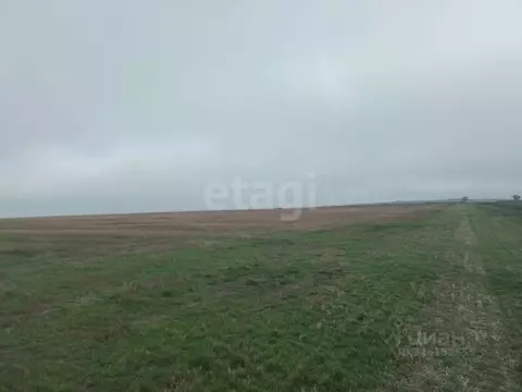 Участок в Крым, Ленинский район, Семисотское с/пос, с. Каменское ул. ...