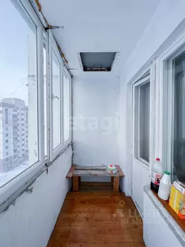 Студия Мордовия, Саранск ул. Тани Бибиной, 3/6 (24.0 м)