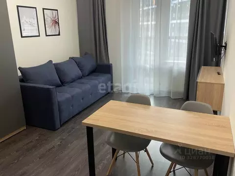 Студия Санкт-Петербург аллея Арцеуловская, 17 (25.0 м)