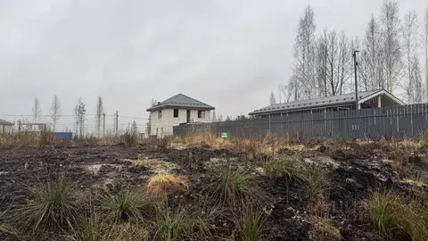 Участок в Ленинградская область, Всеволожское городское поселение, ...