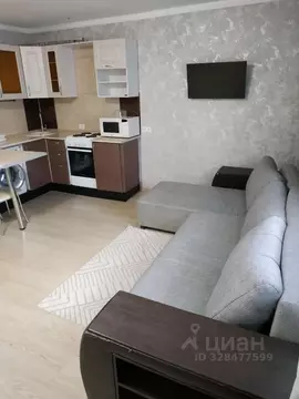 Студия Башкортостан, Уфа наб. Кустаревская, 9А (30.0 м)