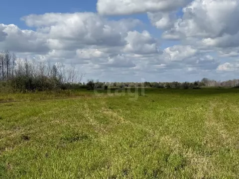 Участок в Тюменская область, Тюменский муниципальный округ, Чикчинское ...