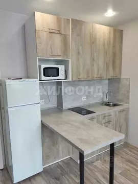 2-к кв. Новосибирская область, Новосибирск ул. Кирова, 276 (38.0 м)