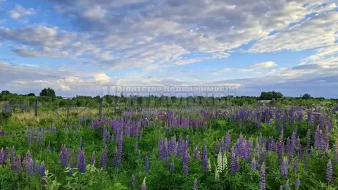 Участок в Смоленская область, Смоленский муниципальный округ, д. ...