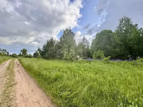 Участок в Смоленская область, Ярцево ул. Рябиновая, 12 (12.0 сот.)