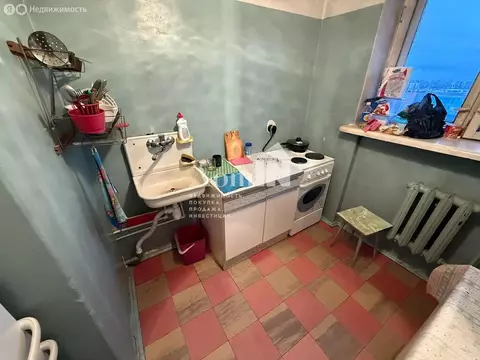 1-комнатная квартира: Санкт-Петербург, улица Шотмана, 11 (27.1 м)