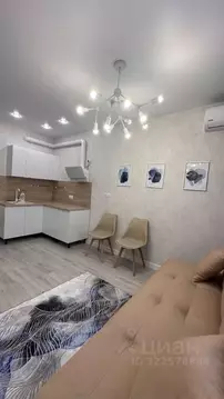 Студия Адыгея, Тахтамукайский район, Старобжегокайское с/пос, Новая ...