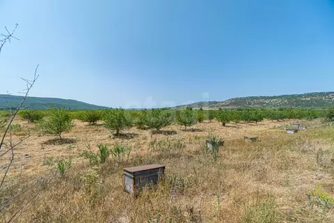 Участок в Крым, Бахчисарайский район, с. Долинное  (109.6 сот.)