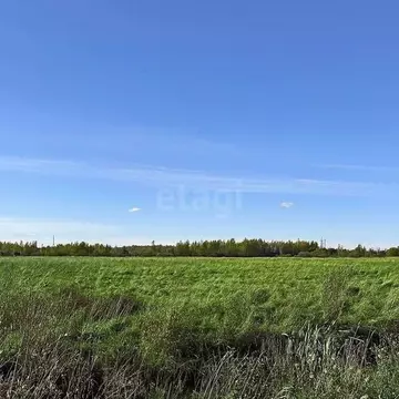 Участок в Ярославская область, Рыбинский муниципальный округ, ...