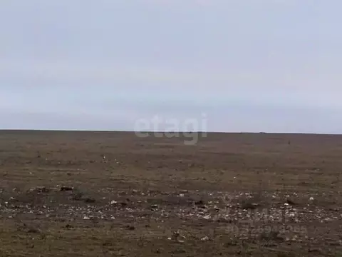 Участок в Крым, Черноморский район, Оленевское с/пос, с. Оленевка ул. ...