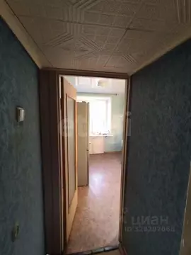 3-к кв. Ярославская область, Ярославль ул. Чкалова, 78А (54.7 м)