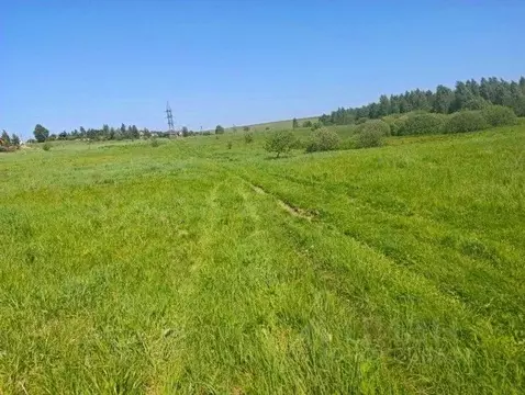 Участок в Московская область, Рузский муниципальный округ, д. Орешки  ...