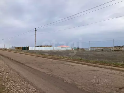 Участок в Крым, Сакский район, Молочненское с/пос, с. Витино  (10.0 ...