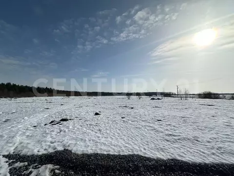 Участок в Ленинградская область, Отрадное Кировский район, пос. ...