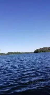 Участок в Псковская область, Пустошкинский район, Забельская волость, ...
