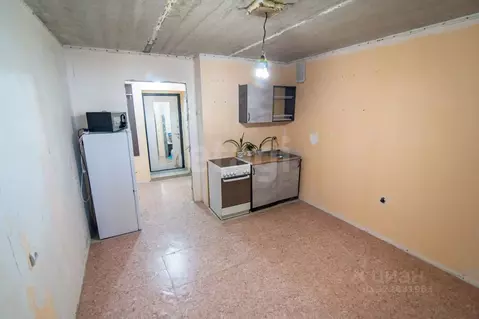 Студия Алтайский край, Барнаул ул. Гущина, 161А (19.4 м)