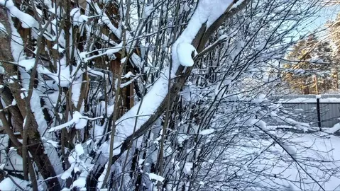 Участок в Ленинградская область, Гатчинский муниципальный округ, ...