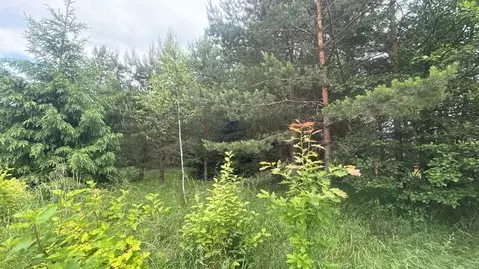 Участок в Московская область, Ступино городской округ, д. Бекетово  ...