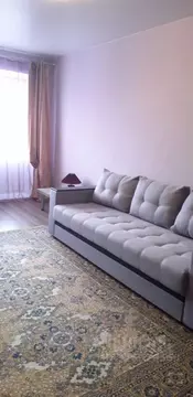 1-к кв. Новосибирская область, Новосибирск ул. Блюхера, 5 (30.2 м)