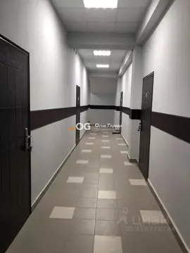 Офис в Брянская область, Брянск Карачижская ул., 104 (38 м)