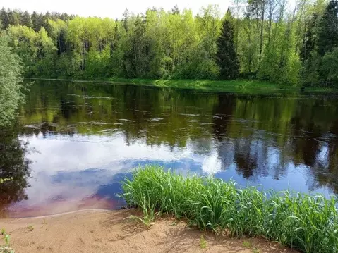 Участок в Сабское сельское поселение, деревня Лемовжа (12.5 м)