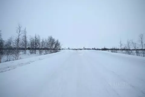 Участок в Ямало-Ненецкий АО, Новый Уренгой ул. Рахманинова, 18 (12.0 ...