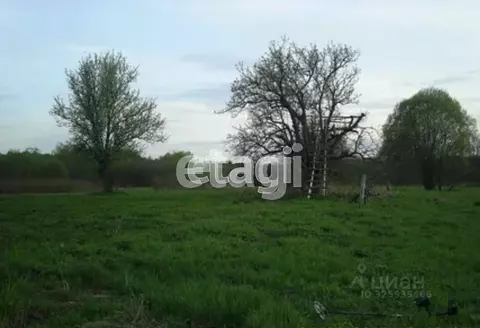 Участок в Калужская область, Ферзиковский муниципальный округ, ...