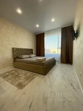 Студия Курганская область, Курган ул. Коли Мяготина, 181 (26.0 м)