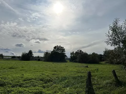 Участок в Калининградская область, Зеленоградский муниципальный округ, ...