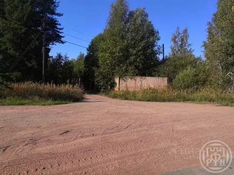 Участок в Ленинградская область, Выборгский район, пос. Гончарово  ...