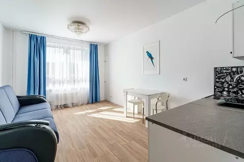 Студия Ярославская область, Ярославль просп. Фрунзе, 54Б (23.0 м)