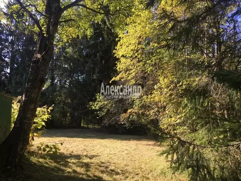 Участок в Ленинградская область, Всеволожский район, Рахьинское ...