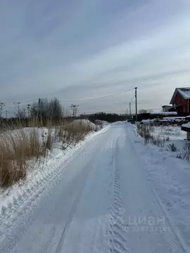 Участок в Псковская область, Псковский район, Завеличенская волость, ...