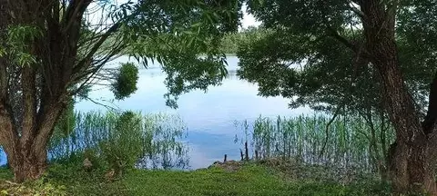 Участок в Новгородская область, Валдайский район, Короцкое с/пос, пос. ...