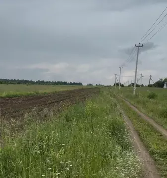 Участок в Свердловская область, Староуткинск муниципальный округ, д. ...