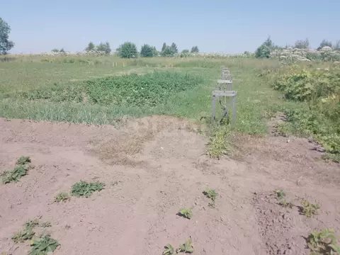 Участок в Псковская область, Псковский район, Завеличенская волость, ...