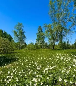 Участок в Тюменская область, Тюменский район Салаирский тракт, 14-й км ...