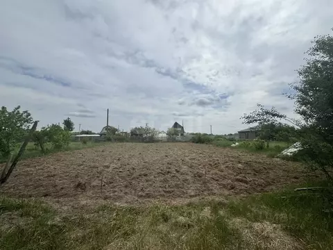 Участок в Брянская область, Брянский район, Новодарковичское с/пос, ...