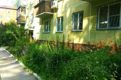 1-к кв. Новосибирская область, Новосибирск Академгородок мкр, проезд ...