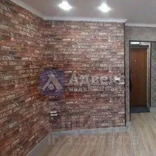 Студия Тюменская область, Тюмень Олимпийская ул., 24 (15.5 м)