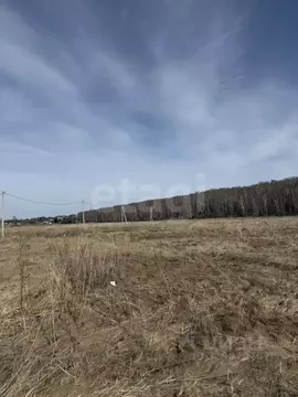 Участок в Курганская область, с. Кетово  (10.0 сот.)