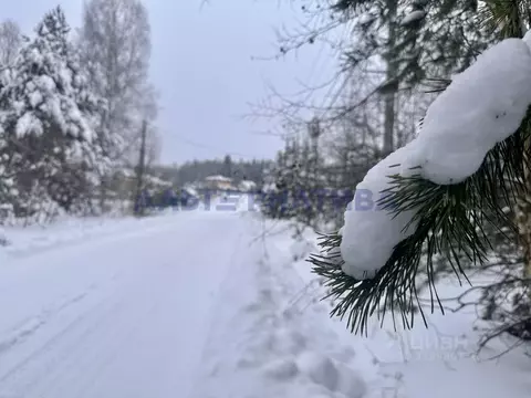 Участок в Ярославская область, Переславль-Залесский муниципальный ...