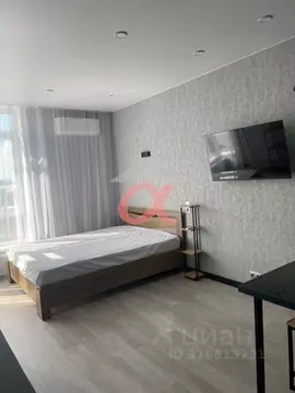 Студия Кемеровская область, Кемерово ул. Мичурина, 58к1 (25.9 м)